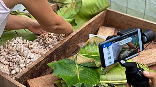 The scrumptious art of bean-to-bar chocolate making in Costa Rica