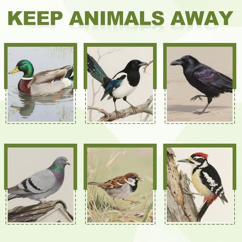 Cinta de PET repelente floral láser que espanta aves de forma natural 5