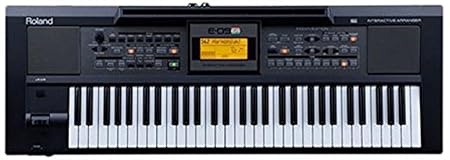 Roland E09IN Indian Edition Interactive Keyboard Arranger with Indian Sound Suite