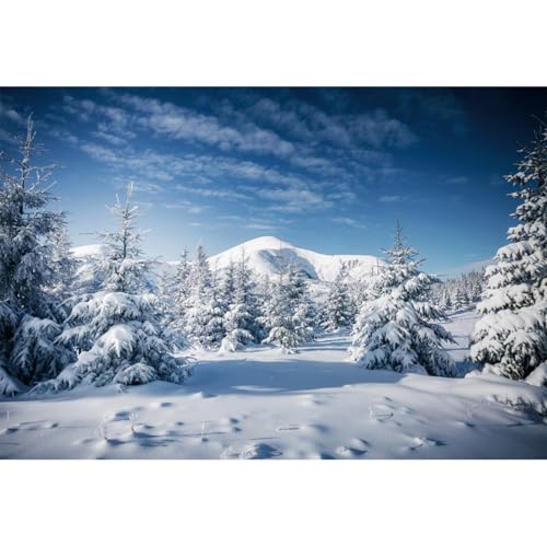 YongFoto 1,5x1m Fondo de fotografía de Paisaje de Nieve de Invierno Árboles de Navidad Nevado Montaña Cielo Azul Naturaleza Paisaje Fondo Navidad Fiesta Familiar Niños Retrato Foto Props Vinilo