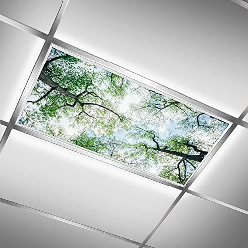 Image of Fluorescent Light Covers for Classroom Ceiling Lights - 2x4ft Backlit Film for Fluorescent Fixtures, Easy to Install - School, Office, Sensory, Improve Focus, Eliminate Headaches -Tree