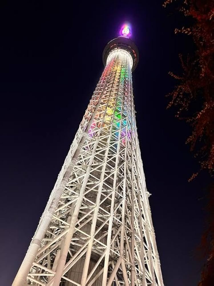 Amazon | 【日本の風景ポストカード】夜の東京都スカイツリー