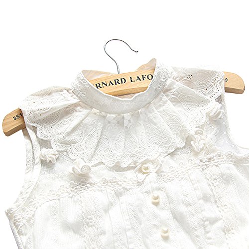 Shinywear Casual Lace Decorative Pleated Spread False Collar Choker Blouse Collar, White, OS2