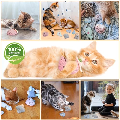 Miniatura 2 de Seamorn Hierba Gatera, Juguetes Y Accesorios Con Catnip