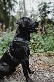 Hunter Hundegeschirr Maldon UP, Farbe: Petrol/grau, weich gepolstert & komfortabel, stark reflektierend durch 3M Scotchlite, 4-Fach verstellbar, mit gepolstertem Griff (ab S-M), Größe: M-L