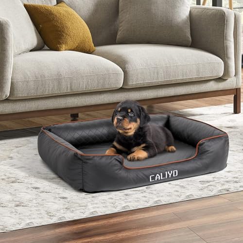 CALIYO Orthopädisches Hundebett Kleine Hunde – Hundekissen aus Kunstleder, Wasserdicht & Waschbar, Memory Foam Hundesofa mit 4 Rändern, Hundematte 85×63×20 cm, Schwarz