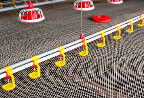 Image of Poultry Chicken Drinking Cups with Nipple Drinker, Automatic Water Feeder for Chicks, Hen, Broiler & Poultry Farm, Pipe Mounted Chicken Waterer, Yellow, Pack of 3
