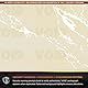 DocuGard Gold Marble Bottom Check, 8,5 x 11 Zoll, 10,9 kg, 500 Blatt, 1 Check pro Blatt (04521)