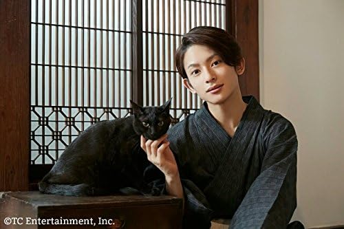 逆輸入 遊馬晃祐 ねこ男子 タレント お笑い芸人