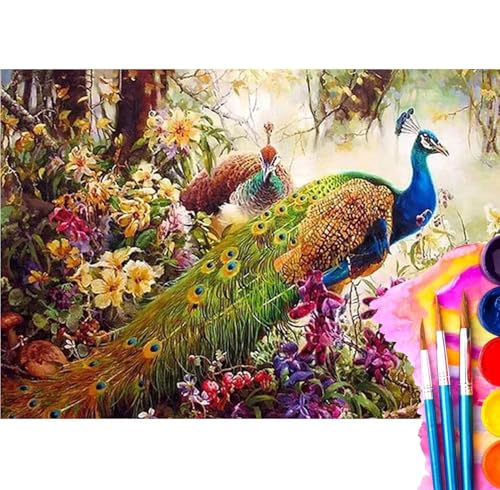 Peinture numéro adulte paon mâle idée cadeau idéale pour passionnés d'art créatif