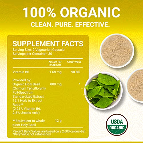 Holy Basil Capsules - Usda Organic Vitamin B6 Capsules | High Strength Vitamin B6 And 2.5% Ursolic Acid | Tulsi Holy Basil Leaf Capsules | Holy Basil Extract 15:1 | Herbal Supplement | 60 Vegan Pills #TOP4