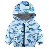 Toddler Boy Jacket Dinosaur Baby Jacket Zipper Hooded Outwear Windproof Coat