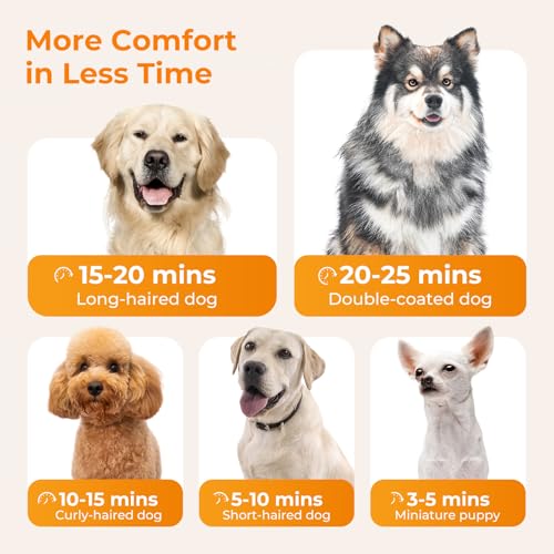 pecute Hundefön Hundetrockner, Haartrockner Blower mit Einstellbarer Temperatur & Geschwindigkeit, Haustierpflegeset Hundepflege Trockner Gebläse, Pet Dryer Kühl-Warm-Heiß Zyklusmodus