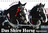Das Shire Horse. Impressionen (Tischkalender 2019 DIN A5 quer): Die sanften Riesen mit den schönen...