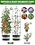 Trellis for Climbing Plants Outdoor, 6FT Garden Obelisk Rustproof PE Coated Metal Potted Plant Climbing Support, Thickened Tube Plant Tower Trellis for Clematis Vine Support Indoor (1 Pack)