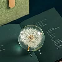 Vista 2 de DESHINTKE Bola de espécimen de diente de león real, pisapapeles, decoración de escritorio (pequeña)