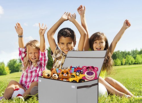 Prorighty Collapsible Toy Chest for Kids (XX-Large) Storage Basket w/Flip-Top Lid | Toys Organizer Bin for Bedrooms, Closets, Child Nursery | Store Stuffed Animals, Games, Clothes (Gray)