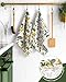Miss Adola Flour Sack Kitchen Towels Set of 2-18x26 Cotton Dish Towels with Hanging Loop Reusable Tea Towel for Cleaning Spring Absorbent Dishcloths Cute Home Decor Housewarming, Lemon Birds