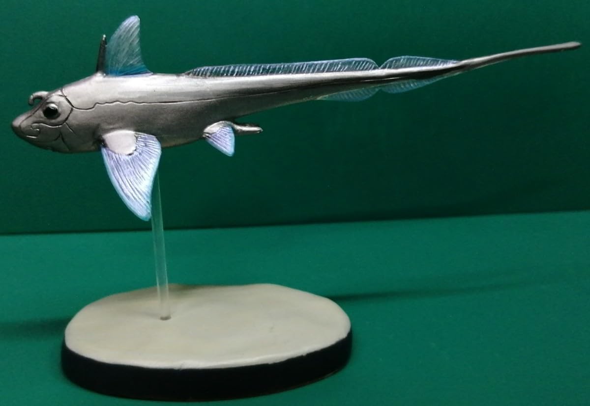 Amazon | ギンザメ 銀鮫 Rat fish 深海魚 フィギュア | フィギュア