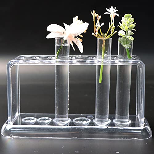 DRERIO 6 Piezas Tubos de Ensayo Plastico, 100 ml Transparente Probetas Plastico de Flores con Tapas, Tubo de Ensayo de Reutilizable para arreglos de Flores y Plantas Hidropónicas