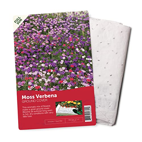 Bloomingbulb Seed Mat - Easy To Plant And Grow Garden Seeds - Creates Fragrant, Vibrant Flower Garden (Mixed Verbena Groundcover) #TOP6
