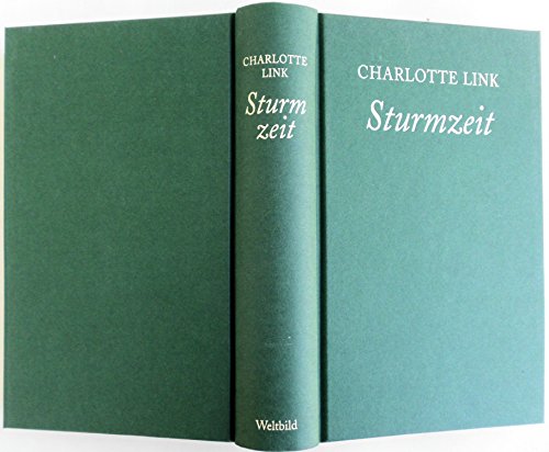 Sturmzeit [German] 3828904793 Book Cover