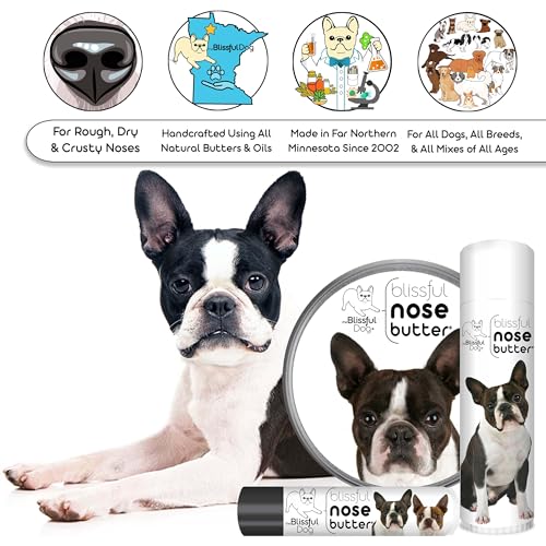 Image of The Blissful Dog Boston Terrier Nose Butter, Versatile Dog Nose Balm for Dry Nose, Handcrafted Nose Moisturizer, Easy-to-Apply Dog Essentials, Unscented, 0.50 oz