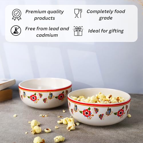 Image of Niyara Ceramic Printed Bowl Set of 2 | Premium Serving Bowls for Snacks, Soup & Desserts | Microwave & Dishwasher Safe (Butterfly Bowl)