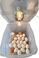 Chocadeira Pet Com 2 Lâmpadas Incandescente Para 30 Ovos Com Termostato e Cooler