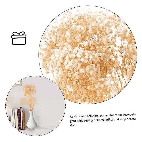 Ramo de Gypsophila seca natural para decoración miniatura 2