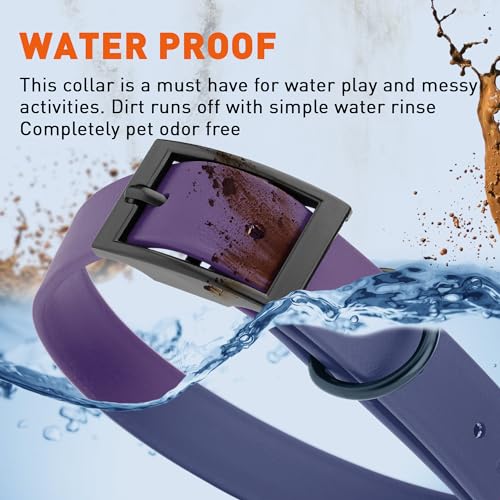 Image of Dogline Biothane Waterproof Dog Collar Strong Coated Nylon Webbing with Black Hardware Odor- Proof for Easy Care Easy to Clean High Performance Fits Small Medium or Large Dogs, Violet Purple