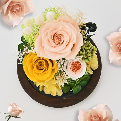 Rosa con luces LED y cúpula de vidrio brillante para obsequiar a tu esposa o pareja 3