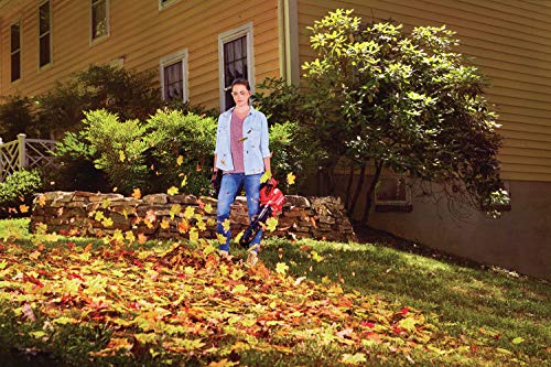 CRAFTSMAN V20 Trimmer & Blower Combo - Image 3