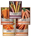 Gardeners Basics, Carrot Seeds for Planting Home Garden - 5 Variety Pack Rainbow, Imperator 58, Scarlet Nantes, Bambino and Royal Chantenay Great for Spring, Summer, Fall, Heirloom Carrot Seeds