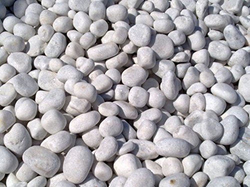 1Kg White Marble Gravels Center Table Decor Rameshwaram Marble® (B071ZRK7SF) Amazon Price History, Amazon Price Tracker