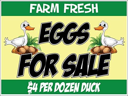 Chicken/Duck Eggs For Sale Yard Sign - Your Choice of Designs and Personalization, Printed 2 Sided on 18 x 24 YardSign Corpolast (Duck)