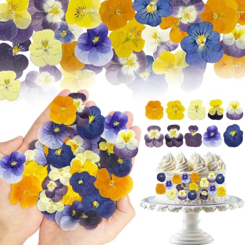 80 piezas flores secas comestibles para decoración