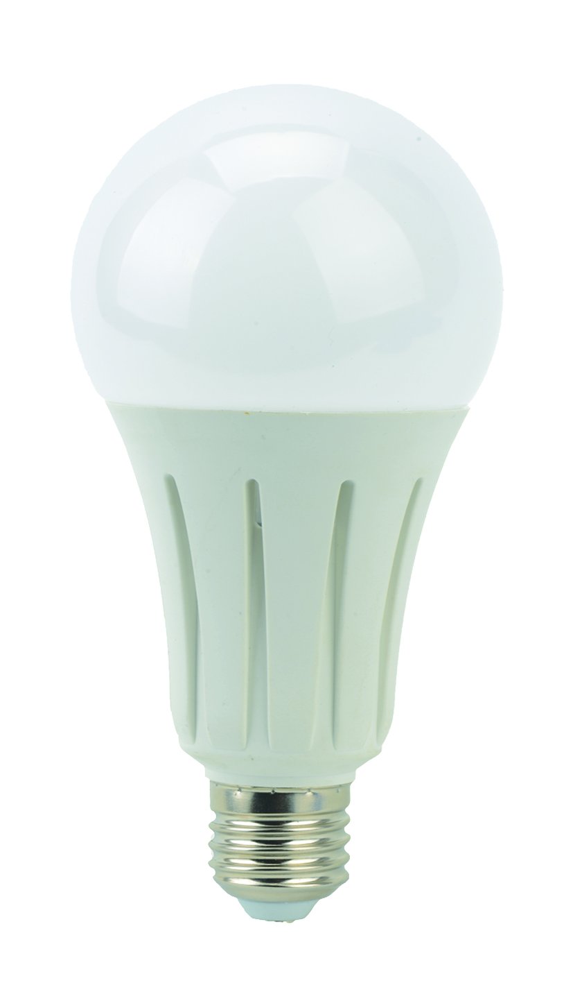LyvEco24W LED Light Bulb (A80 / GLS) ES Base 2452 Lumen 4000 Kelvins