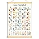 Yezirzax ABC Poster für Kinder, 31x44 cm Buchstaben Lernen Poster, Alphabet Zahlen Poster für Kinder, Buchstaben Grundschrift Geschenk für Kinderzimmer, Kindergarten, Vorschule, Grundschule