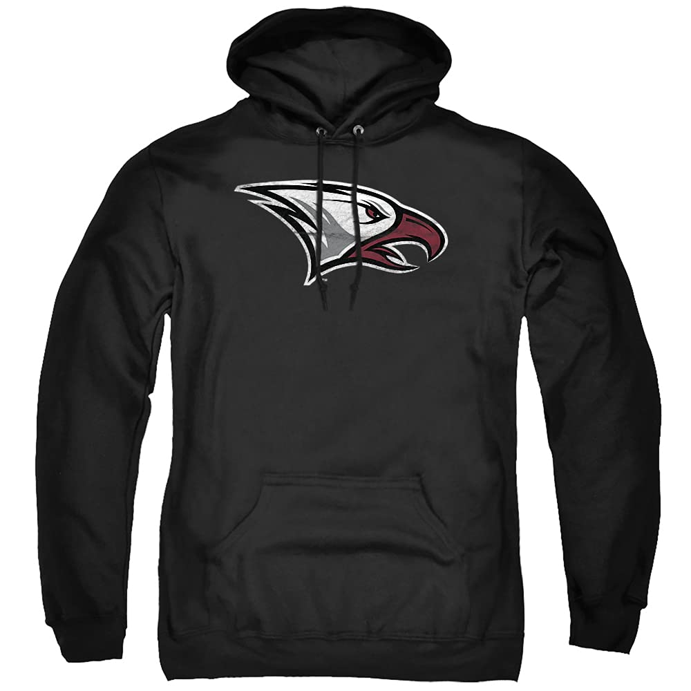 LOGOVISION Official Collegiate Distressed Primary Logo Adult Pullover Hoodie Collection — view 194