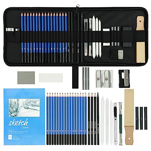 Kurtzy - Lápices de dibujo de grafito para artistas, niños y adultos, con estuche de transporte con cremallera (33 unidades)