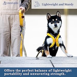   Dog-Leash-25mm-Black360-Tangle-Free-Heavy-Duty-Strong-Nylon-Retractable-and-Hands-Free-Design-Crossbody-Hand-held-Waist-Leash-Outdoor-Easy-Walk-Dog-Leash-Medium-and-Large-Dog