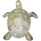 Dorccsi