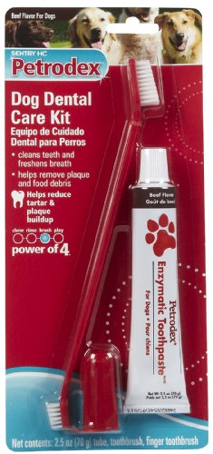 Petrodex Dental Kit For Dogs Beef Flavor