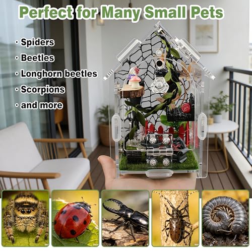 Image of Jumping Spider Enclosure Kit with Accessories | Acrylic terrarium for tarantula mantis reptile. Magnetic lock & feeder. Clear 360 view. DIY decor set.