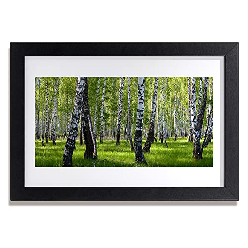 Affiche encadrée 30x20 cm de forêt pour créer un salon cocooning et zen