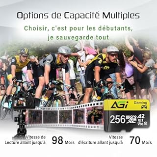 AGI TF138 Carte microSD 256 Go avec Adaptateur, et microSDXC, A2, U3, V30, Vitesse de Lecture jusqu'à 98 Mo/s pour Drone/DashCam/Appareil Photo/Téléphone/Switch/PC/Tablette