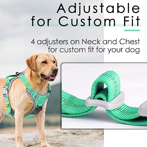 ThinkPet No Pull Harness Breathable Sport Harness with Handle-Dog Harnesses Reflective Adjustable for Medium Large Dogs,Back/Front Clip for Easy Control S Teal by ThinkPet - Image 6
