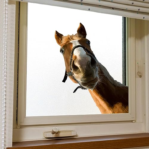 Vinilos decorativos caballos acuarela adhesivos para pared miniatura 5