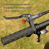 DYISLAND B0DFC6YVQY lato 2